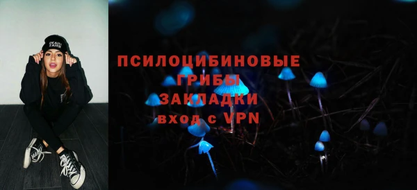 ешки Белоозёрский