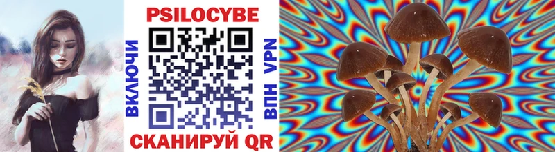 Купить  Мегион  Псилоцибиновые грибы MAGIC MUSHROOMS 